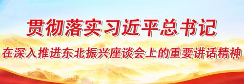 貫徹落實習近平總書記在深入推進東北振興座談會上的講話精神